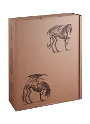 Harry Potter and the Order of the Phoenix (J. K. Rowling)