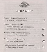 Акафисты читаемые в болезнях или за больных (м) (2020) Преображенский - 1