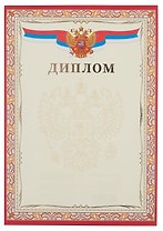 Диплом А4 с символикой, тисн.зол.фольгой