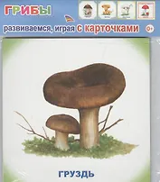 Обучающие карточки Грибы (упаковка) (978-5-91282-754-9)