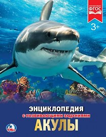 Акулы