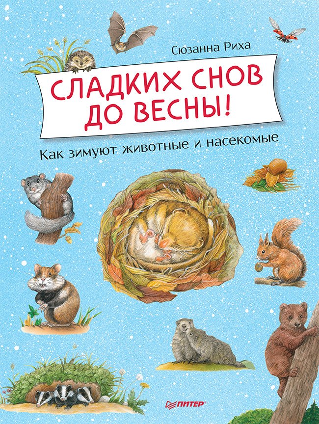 

Сладких снов до весны! Как зимуют животные и насекомые