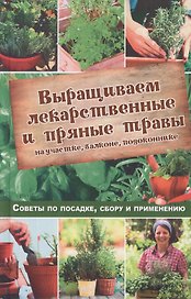 Выращиваем лекарственные и пряные травы на участке, балконе, подоконнике