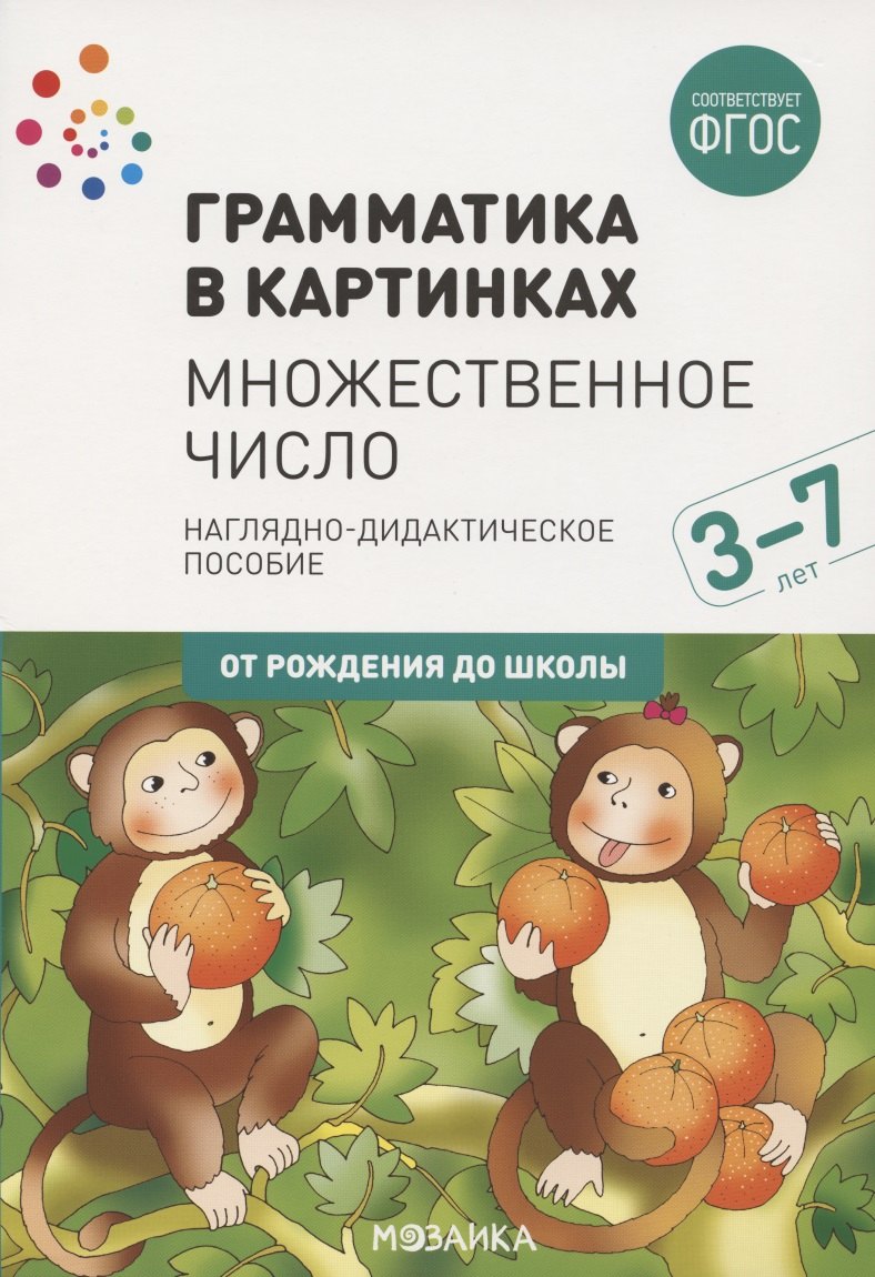 

Грамматика в картинках. Множественное число