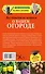 Все ответы на вопросы о вашем огороде - 1