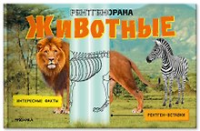 Животные. Рентгенорама