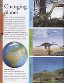 Dinosaurs a children's encyclopedia - 2