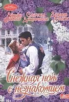 Снежная ночь с незнакомцем