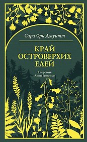 Край островерхих елей