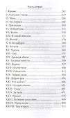 История России в романах, Том 038, В.С. Соловьев, Старый дом - 2