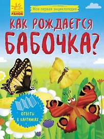 Как рождается бабочка?