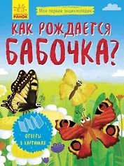Как рождается бабочка?