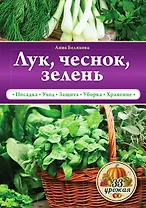 Лук, чеснок, зелень