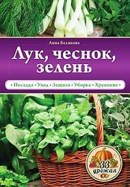 Лук, чеснок, зелень
