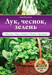 Лук, чеснок, зелень