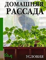 Домашняя рассада. Условия
