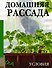 Домашняя рассада. Условия - 0