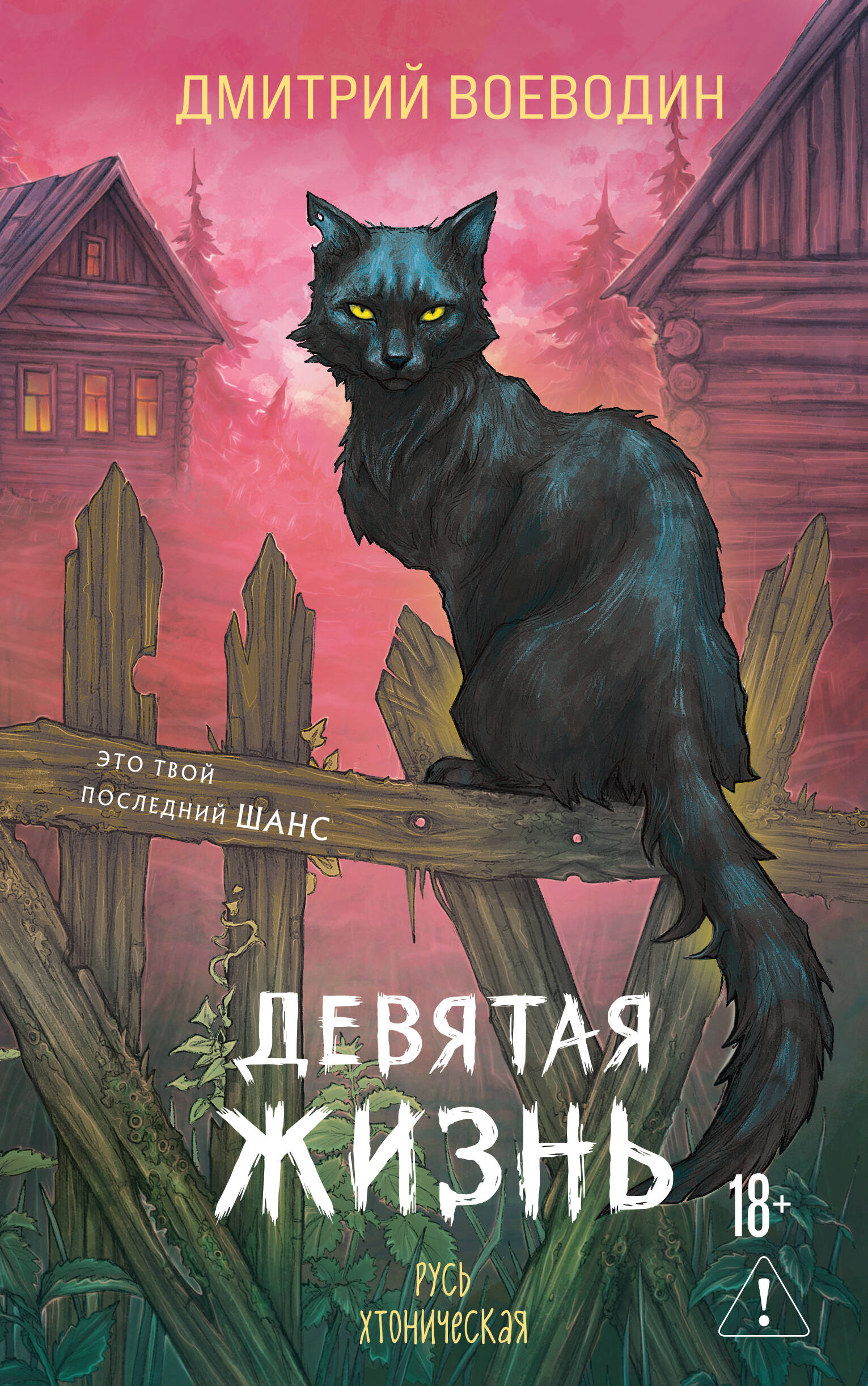 Обложка книги «Девятая жизнь»