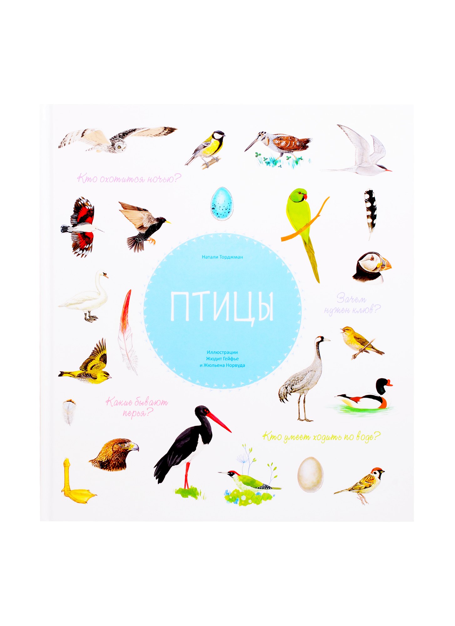 

Птицы
