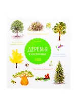 Деревья и кустарники