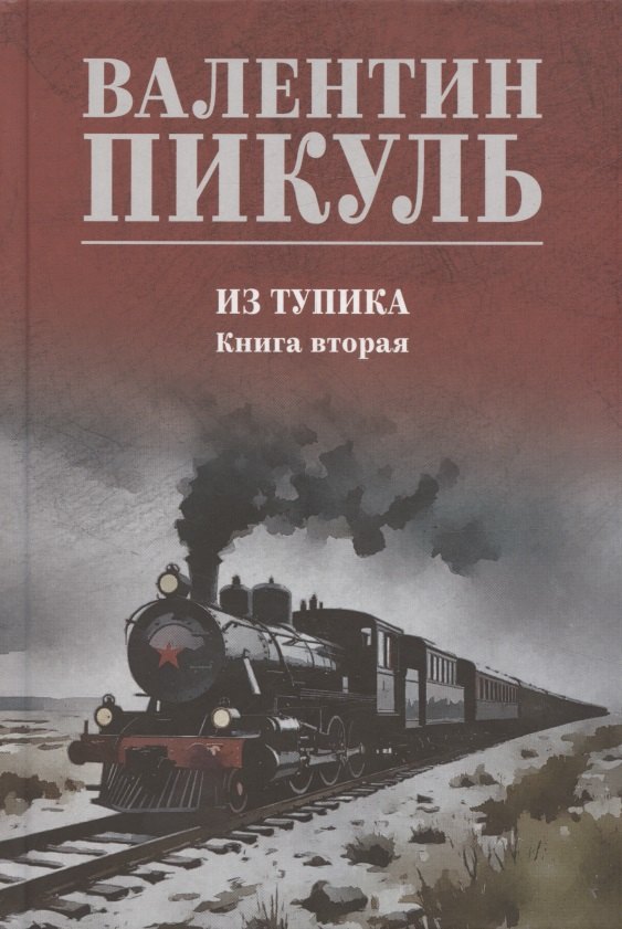 

Из тупика. Книга 2