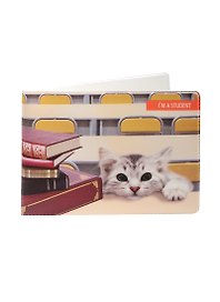 Обложка для студенческого Котенок и книги