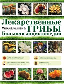 Лекарственные грибы. Большая энциклопедия