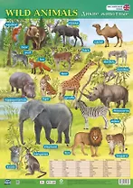 Учебный плакат. Английский язык. Дикие животные. (Формат А2)