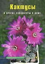 Кактусы и другие суккуленты в доме