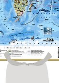 Карта мира. Природные зоны. Животные и растения (А0) - 1