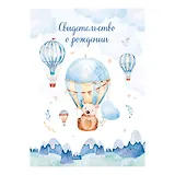 Папка адресная А5 "Свидетельство о рождении "Львенок"" (для мальчиков),