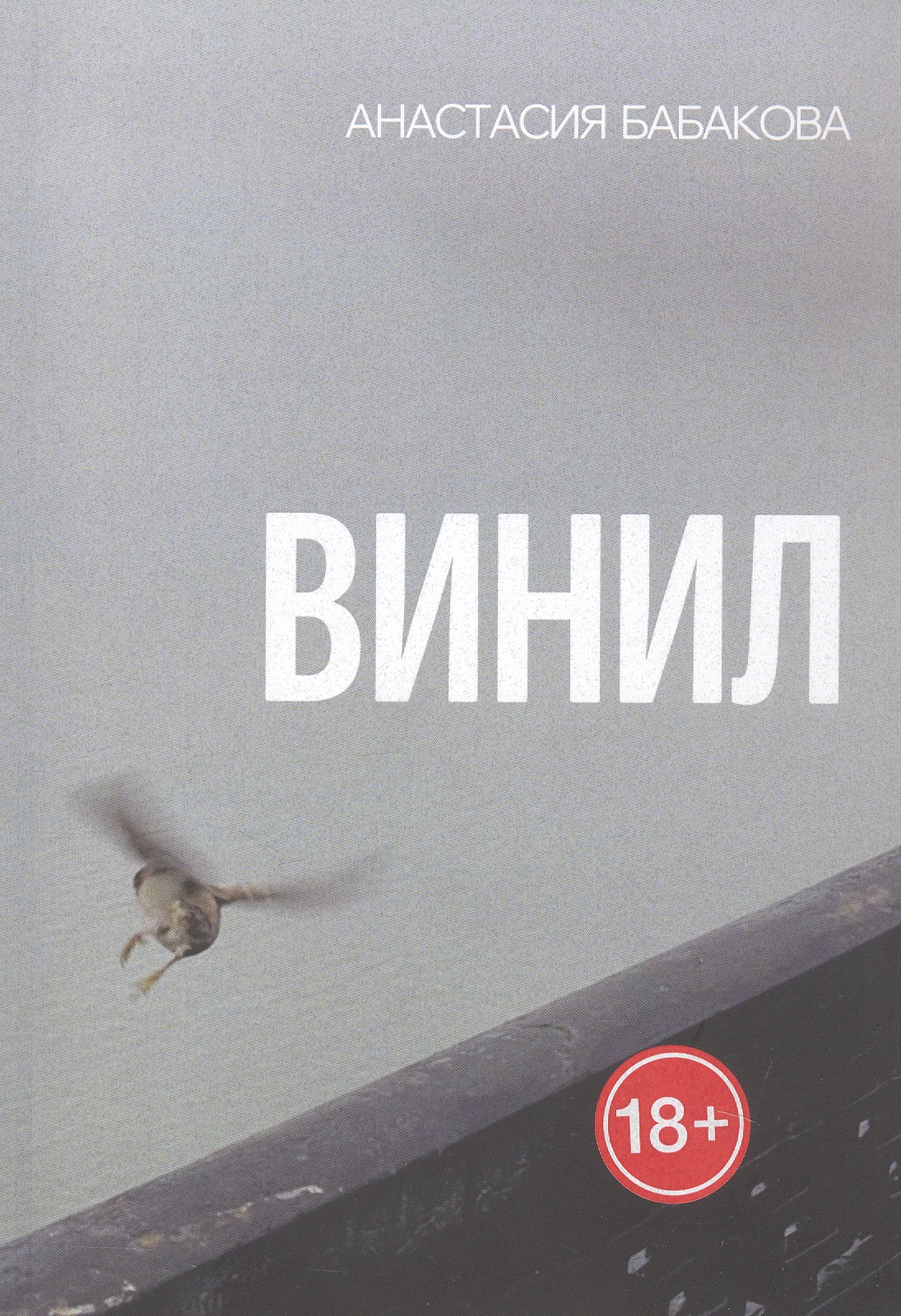 Обложка книги «Винил»