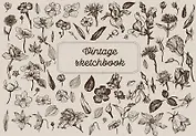 Скетчбук. Винтажный гербарий (формат А5, 128 стр, открытый корешок, бумага слоновая кость)