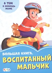 Большая книга. Воспитанный мальчик. 6 тем о помощи маме
