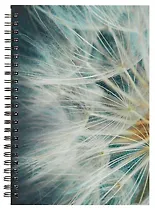 Тетрадь в линейку Listoff, "Макросъемка", 80 листов