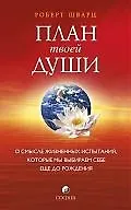 План твоей души: О смысле жизненных испытаний, которые мы выбираем себе еще до рождения