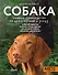 Собака. Полное руководство по дрессировке и уходу - 0