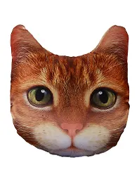 Подушка декоративная Кот (35х35) (PLW-Face Кот)