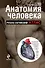 Анатомия человека: русско-латинский атлас - 0