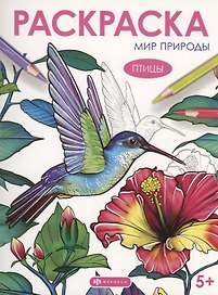 Птицы