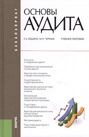 Основы аудита : учебное пособие