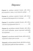 Двойные мосты Венисаны. Книга вторая - 1