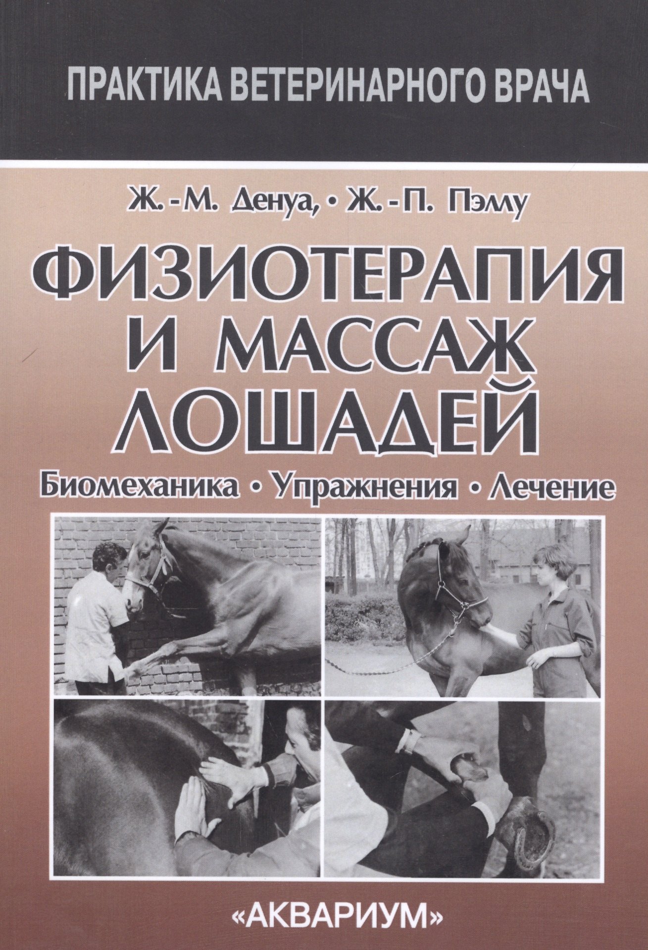 

Физиотерапия и массаж лошадей. Биомеханика. Упражнения. Лечение