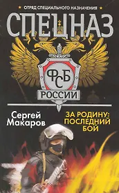 За Родину: последний бой