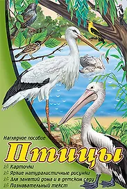 Птицы: набор карточек