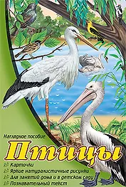 Птицы: набор карточек