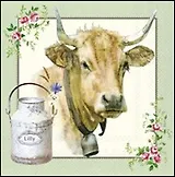 Наб. салф. для декупажа Кантри (109160/ACAM) (2шт) (упаковка)