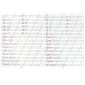 Каллиграфическая пропись. Пишем слоги и слова - 1
