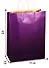 Пакет А3 43*33*10 крафт, нейтр., фиолет. - 1
