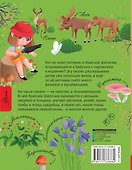 Красная Шапочка и тайны леса - 1